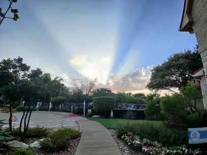 Tree services in Cedar Park